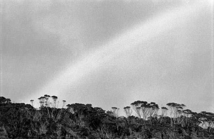 Kangaroo Cove, South Australia